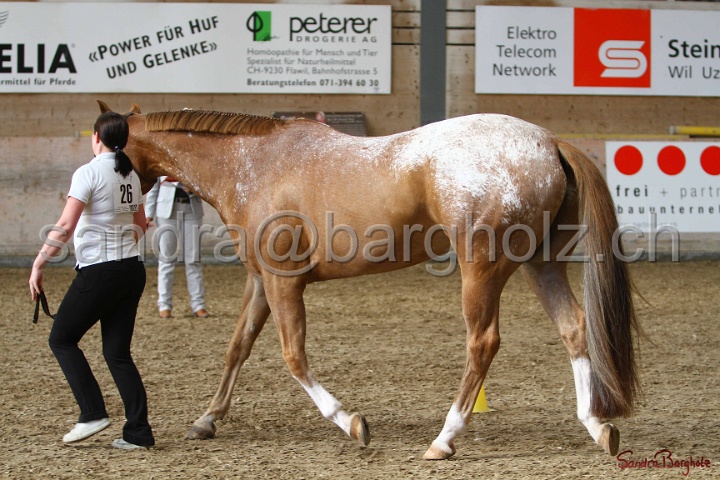 24-ApHC HIH_104.jpg